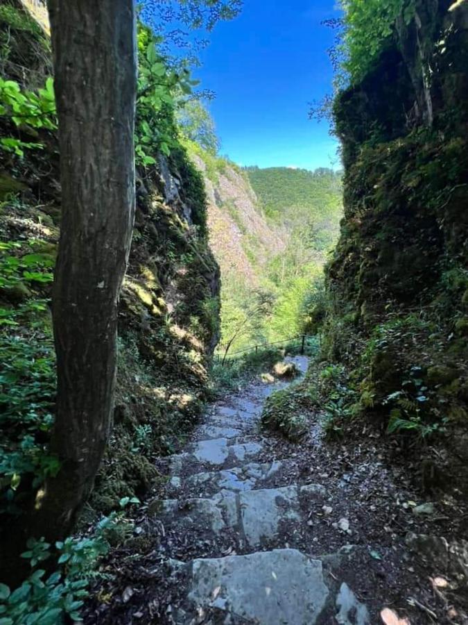 Vakantiestudio Ciney Chapois Eksteriør bilde
